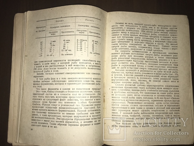 1936 Экспертиза Рыбных товаров, фото №10