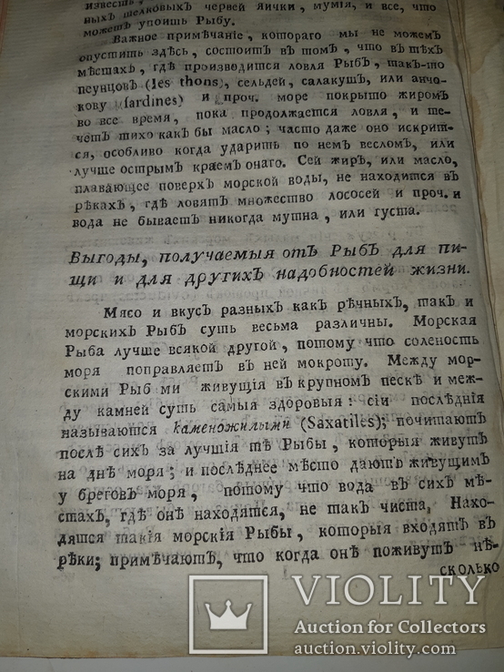 1789 Магазин натуральной истории, фото №4