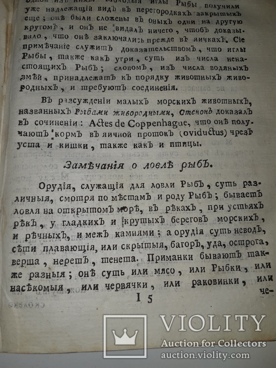 1789 Магазин натуральной истории, фото №5