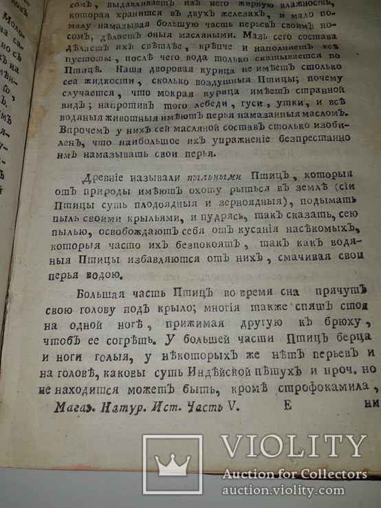 1789 Магазин натуральной истории, фото №7