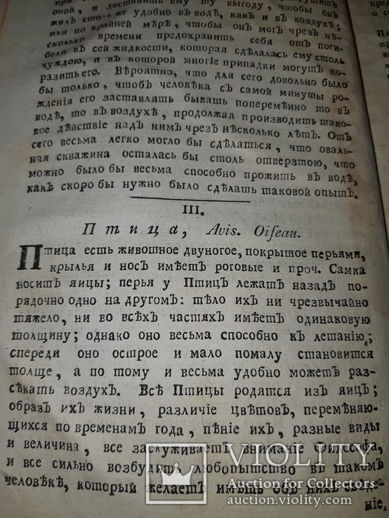 1789 Магазин натуральной истории, фото №8