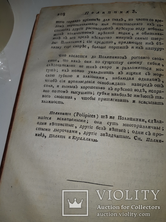 1789 Магазин натуральной истории, фото №12