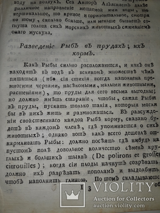 1789 Магазин натуральной истории, фото №13