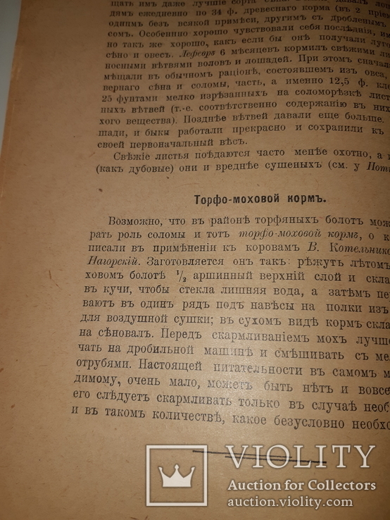 1917 Кормление лошадей, фото №3