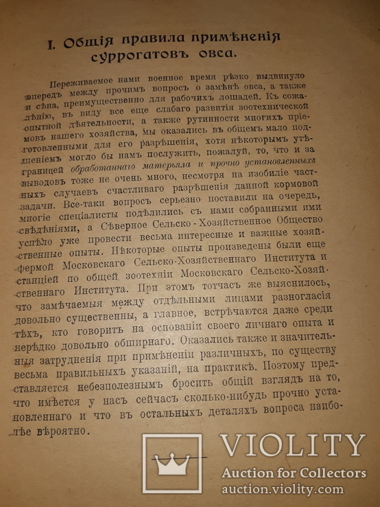 1917 Кормление лошадей, фото №6