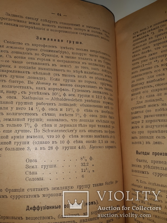 1917 Кормление лошадей, фото №11