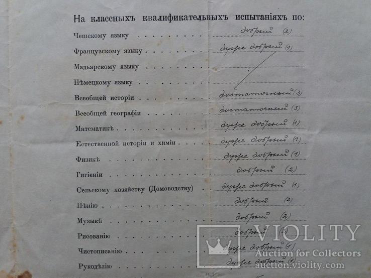 Учительский диплом Подкарпатской Руси 1921 г., фото №11