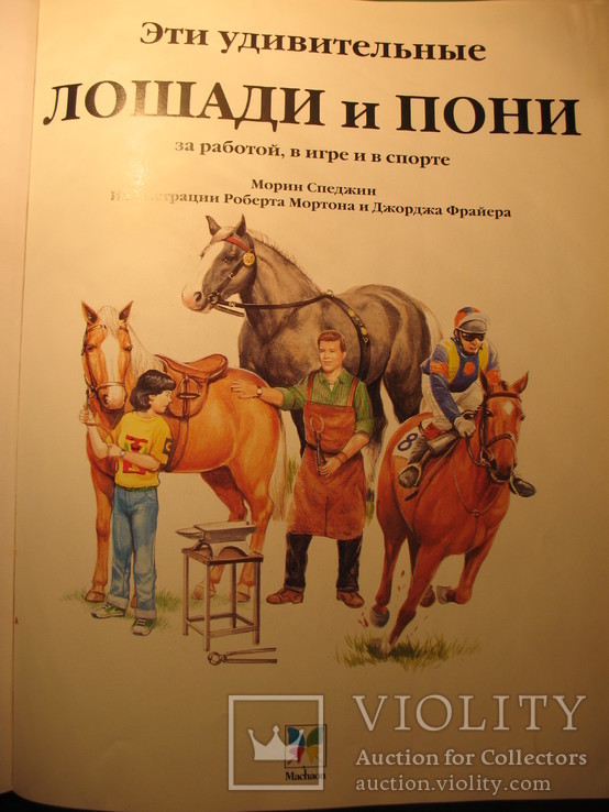 Лошади и пони, фото №4