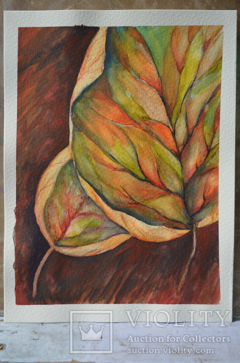 Листья, фото №4
