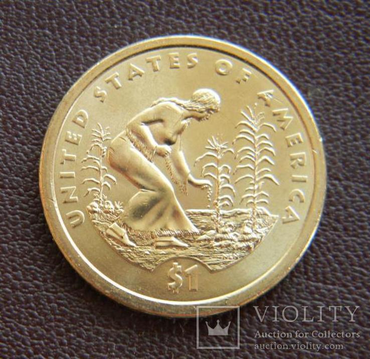 США 1 доллар 2009, Сакагавея Индианка, фото №2