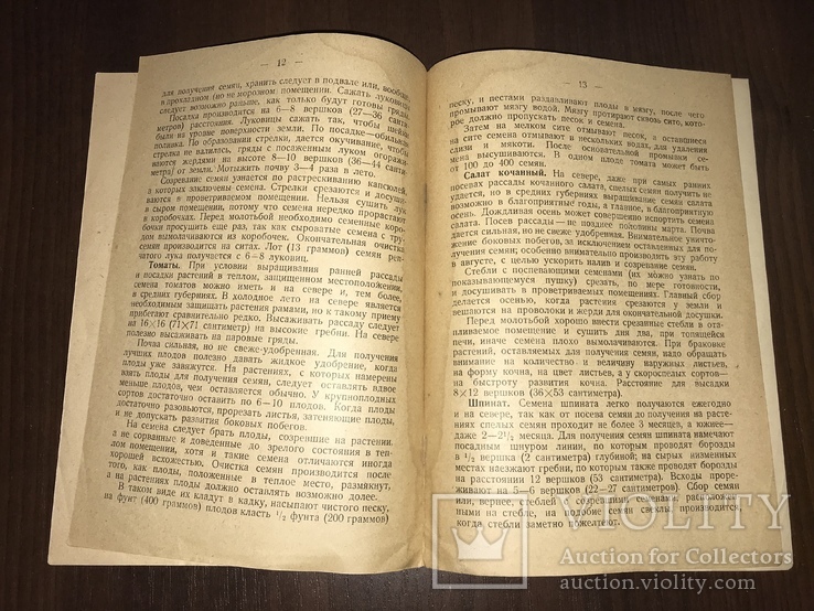 1926 Как самому вырастить Огородные Семена, фото №7