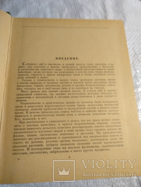 Занимательная зоология Я.Цингер Очерки и рассказы о животных 1963г., фото №9