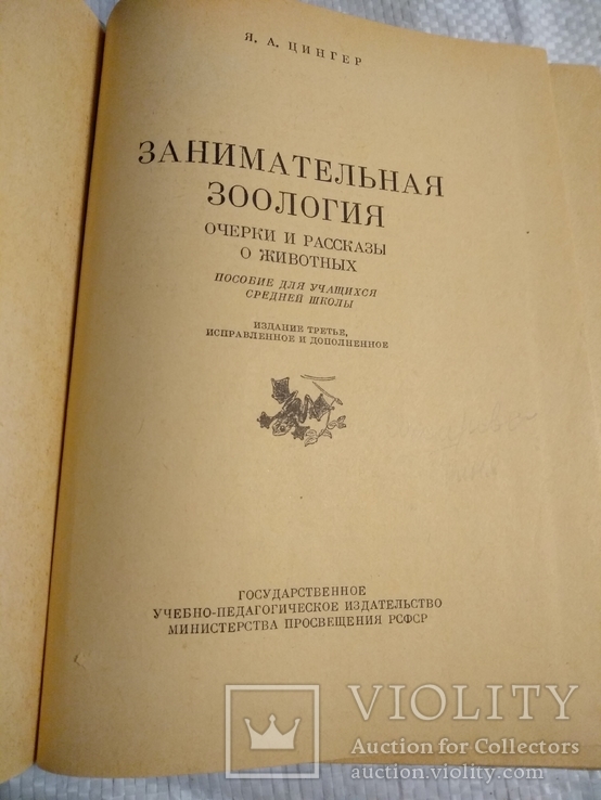 Занимательная зоология Я.Цингер Очерки и рассказы о животных 1963г., фото №11