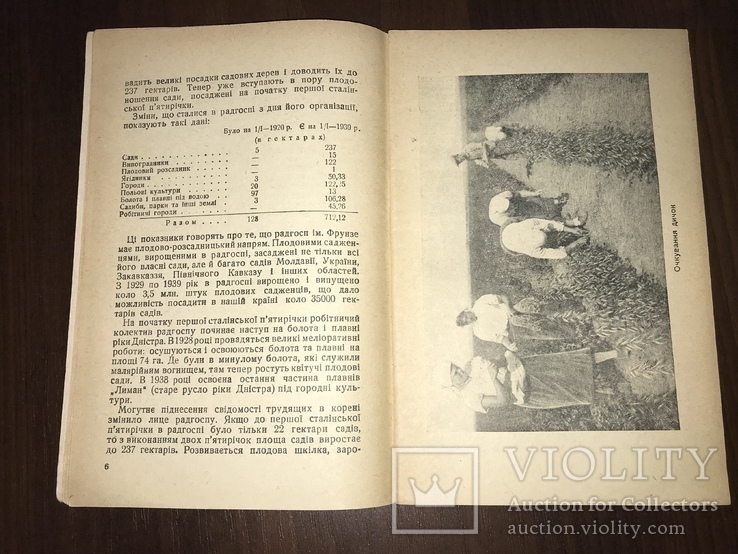 1939 Радгосп ім. Фрунзе, фото №5