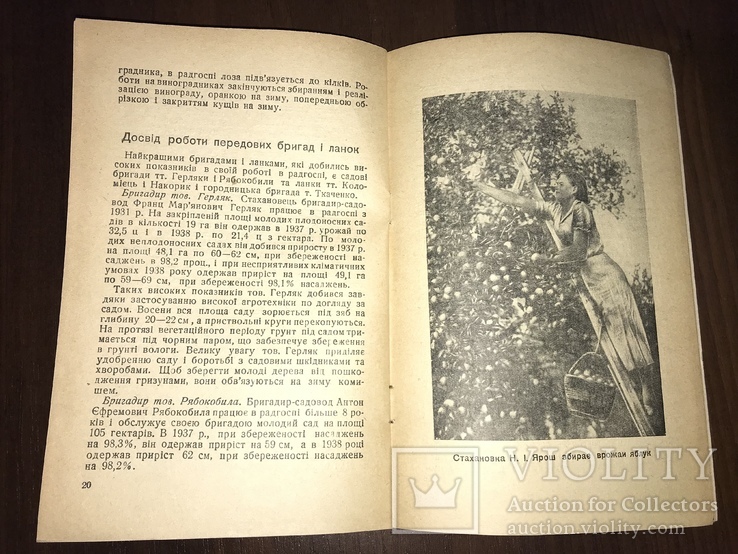 1939 Радгосп ім. Фрунзе, фото №8