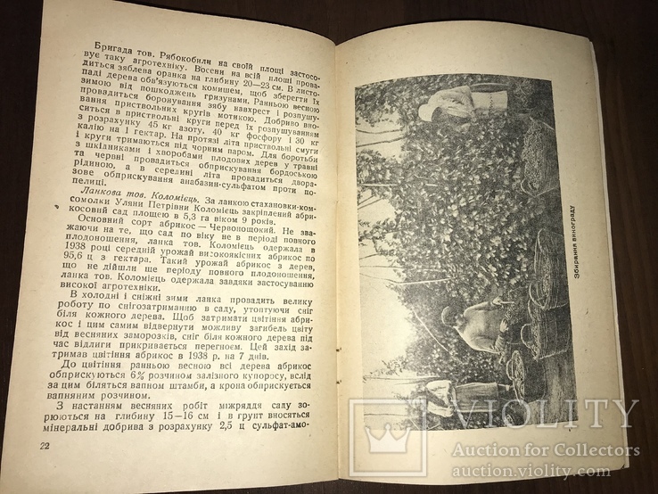 1939 Радгосп ім. Фрунзе, фото №9