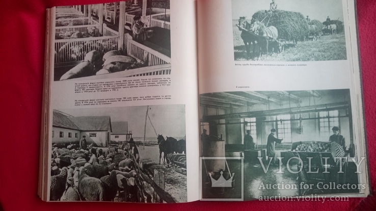 Книга Сільське Господарство Радянської України 1957р тир15000., фото №10