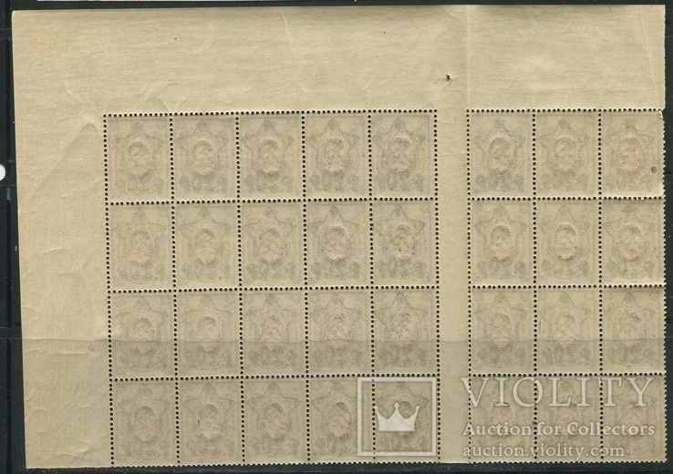 1921 РСФСР надпечатка звезда фрагмент листа MNH **, фото №3