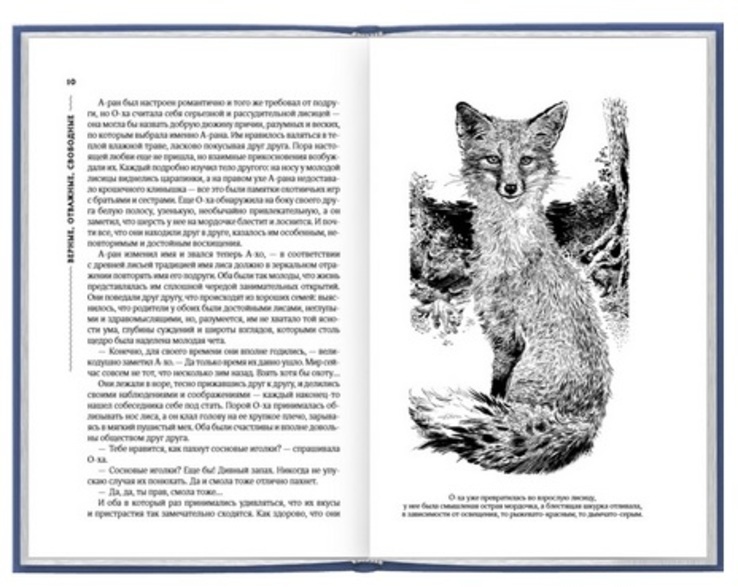 Серия книг «Верные, отважные, свободные». 12 томов (полный комплект), фото №8