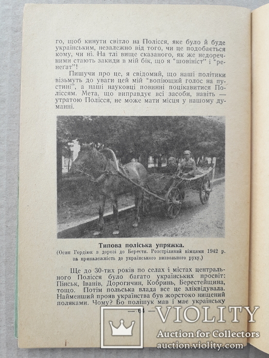 1955 р. Українське Полісся - Ф. Одрач, фото №12