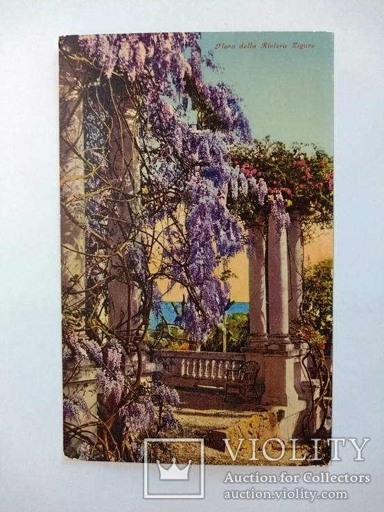 Открытка-Италия,флора Лигурийской Ривьеры, 1943 год, фото №2