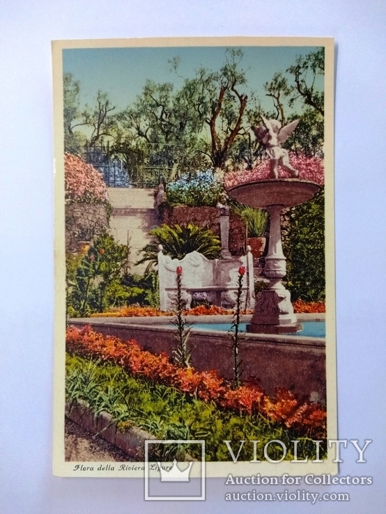 Открытка-Италия,флора Лигурийской Ривьеры,1943 г., фото №2