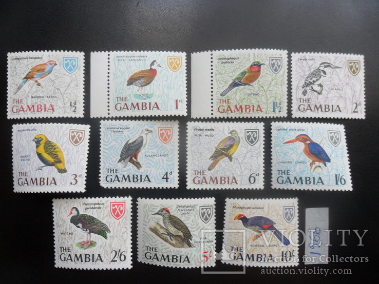 Фауна. Птицы. Гамбия. 1966 г.  серия  MNH, фото №2