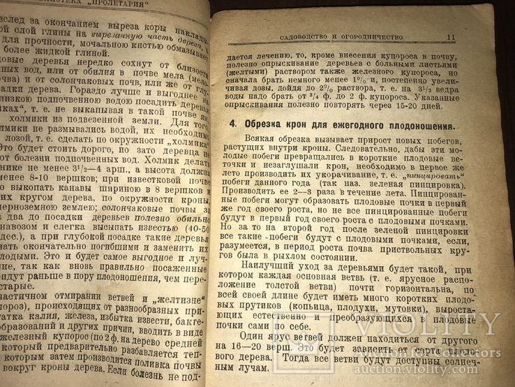 1925 Сад и Огород рабочего, фото №4