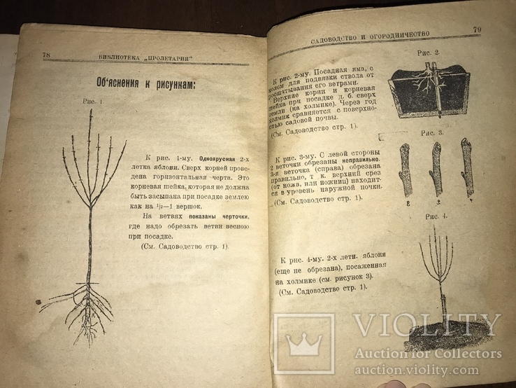 1925 Сад и Огород рабочего, фото №8