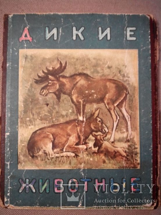 Книга раскладушка Дикие животные 1956г СССР, фото №2