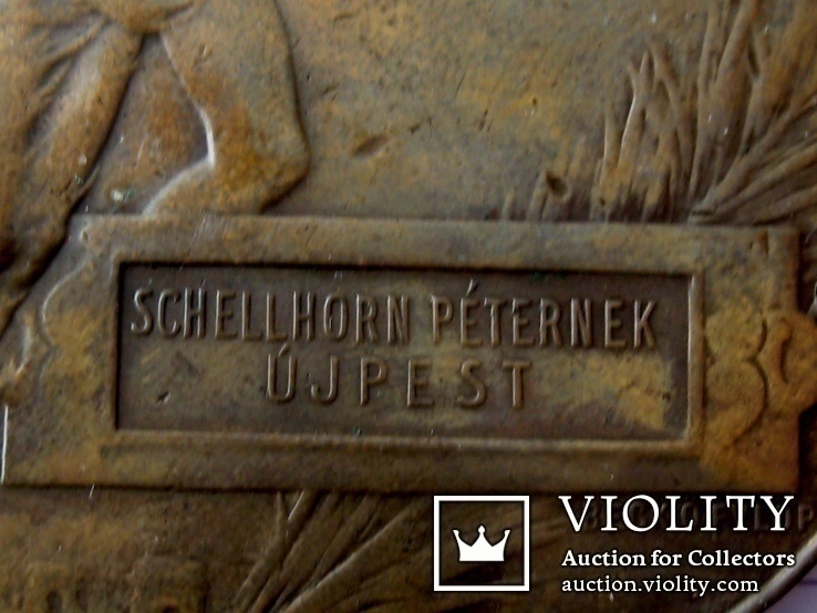 Выставочная медаль за заслуги Schellhorn Peternek 1896 год, фото №6