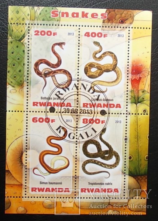 Африка Руанда Фауна Змеи гаш.