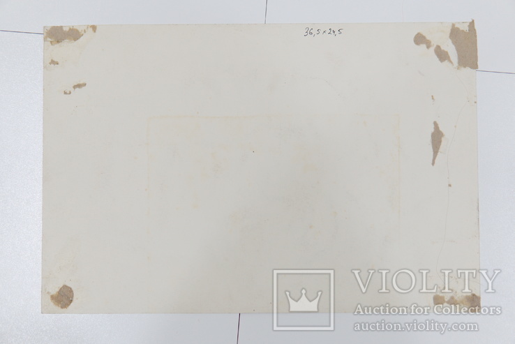 Картина Натюрморт с луком. Акварель 36,5 х 24,5 см, фото №3
