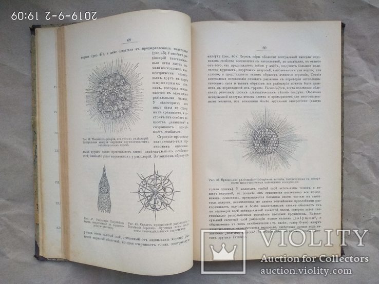 Мензбир Введение в изучение зоологии и сравнительной анатомии 1906, фото №8