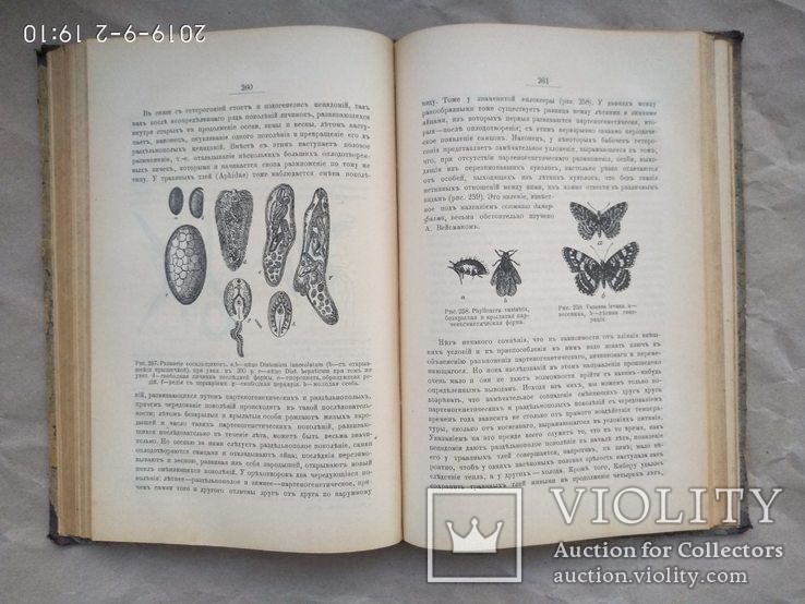 Мензбир Введение в изучение зоологии и сравнительной анатомии 1906, фото №9