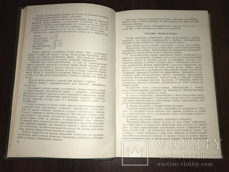 1955 Основы Виноделия, фото №4