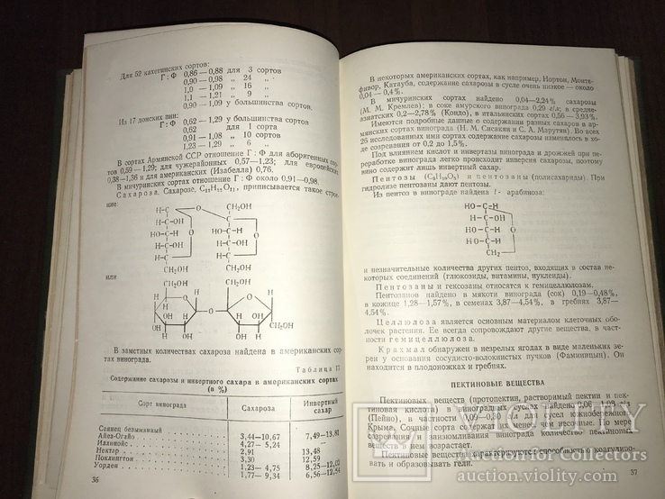 1955 Основы Виноделия, фото №6
