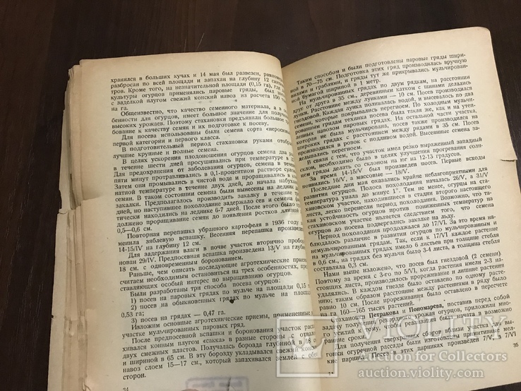 1938 Стахановские урожаи Овощей и картофеля, фото №9