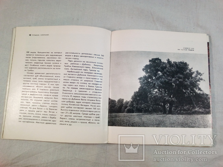 Дендропарк Софиевка.Путеводитель.1972 г., фото №7