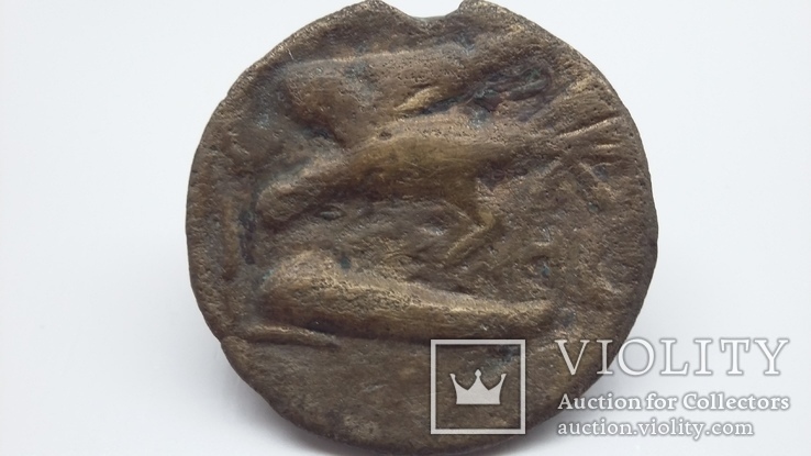 Монета Ольвия. Горгона, редуцированный асс ., фото №5