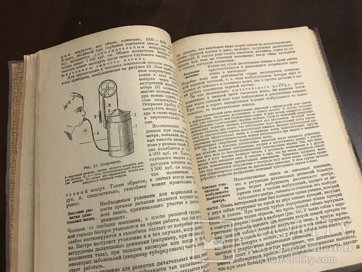 1935 Анатомия и физиология человека, фото №6