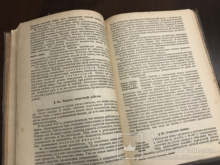 1935 Анатомия и физиология человека, фото №7