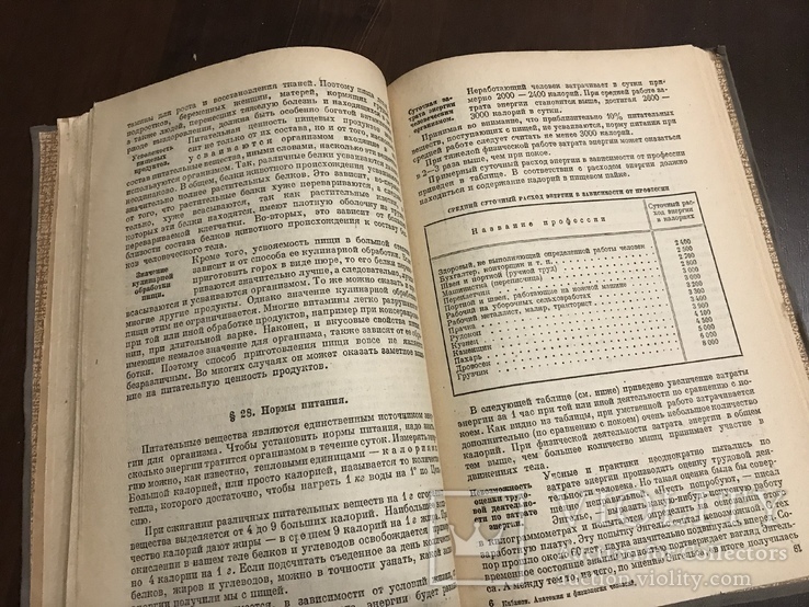 1935 Анатомия и физиология человека, фото №9