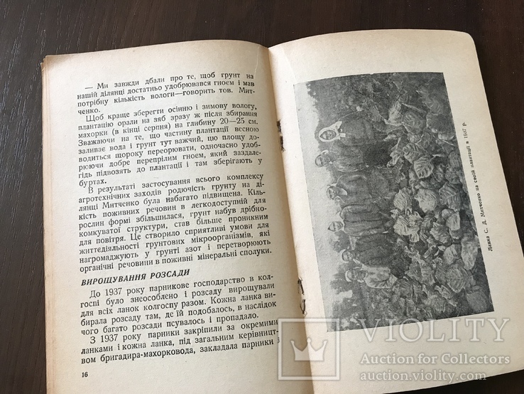 1939 Махорка 117 центнерів Махорки з гектару, фото №6