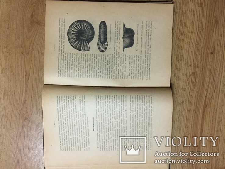 Введение в геологию Ф.Ю. Левинсон-Лессинг, 1923 Петроград, фото №5