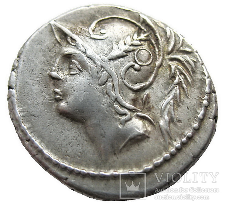 Республиканский денарий  C.Thermus 103 г. до н.э., фото №3