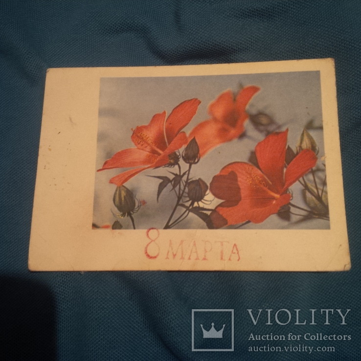 Карточка почтовая открытка 8 Марта Китайский розан 1964 год, фото №2