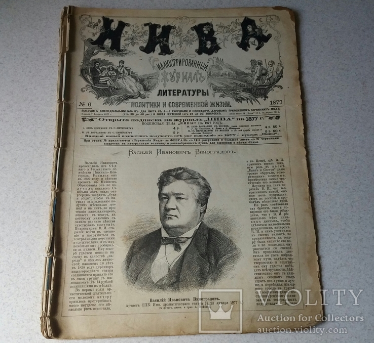 Журнал Нива 1877 номер 6.7