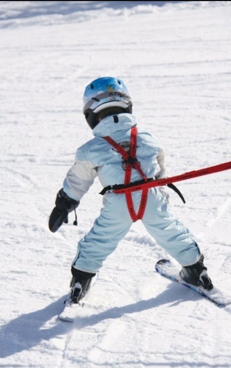 Система поддержки для обучения детей езды на лыжах., photo number 4