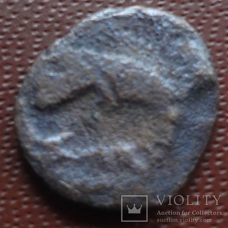Монета Ольвии     (Н.23.14)~, фото №2
